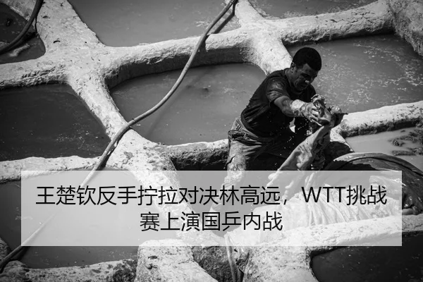 王楚钦反手拧拉对决林高远，WTT挑战赛上演国乒内战