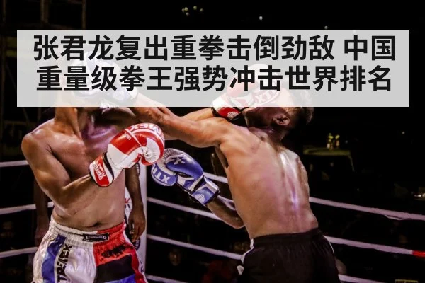 boxer training gloves