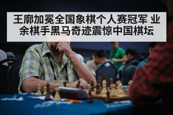 王廓加冕全国象棋个人赛冠军 业余棋手黑马奇迹震惊中国棋坛